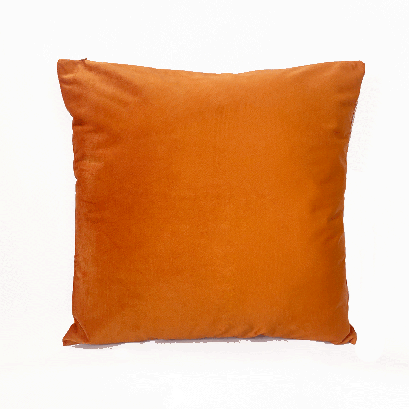 burnt orange velvet cushion